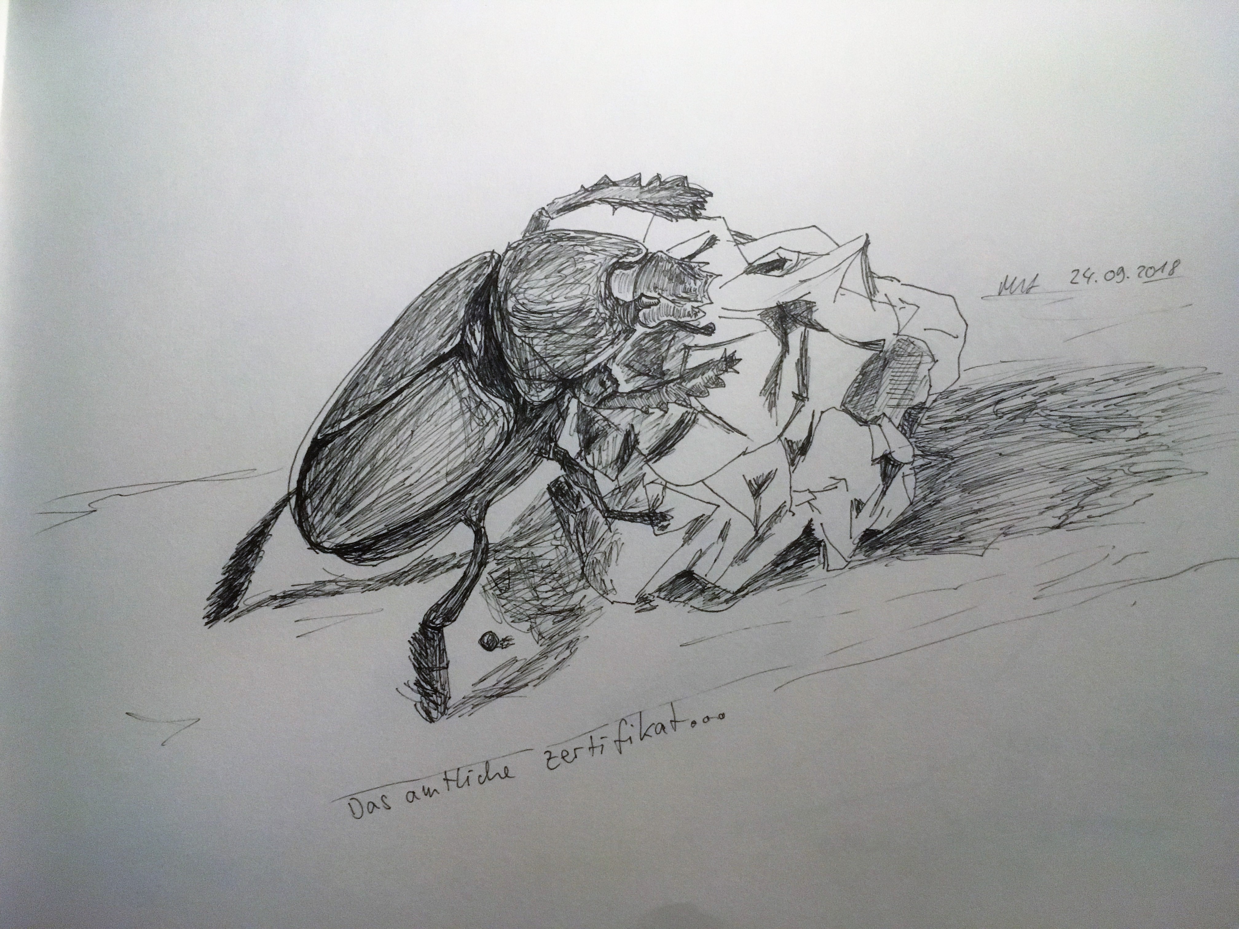 Das amtliche Zertifikat