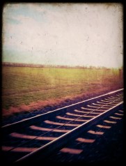 Lomogram_2016-01-09_11-42-22-AM