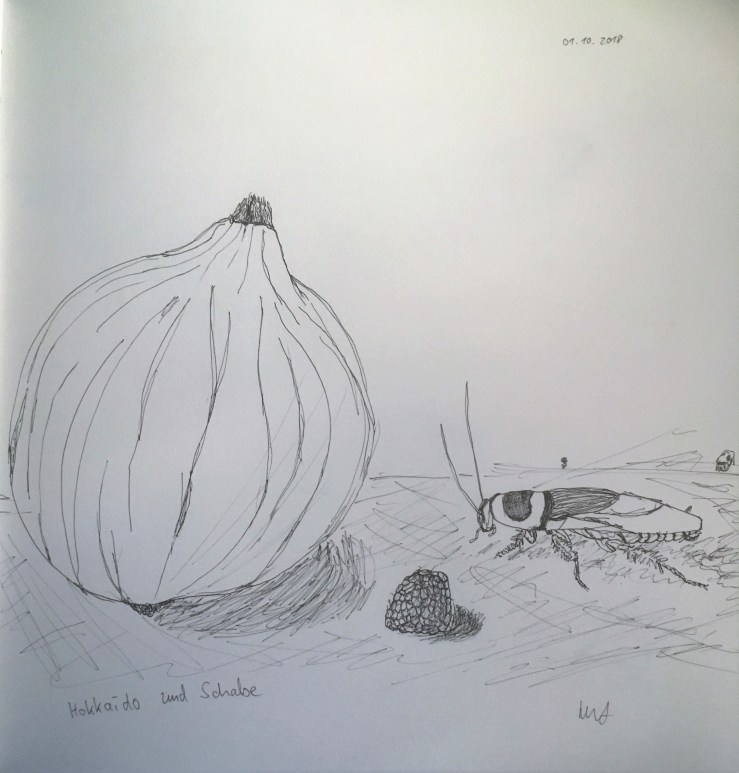 20181002_063937750_iOS