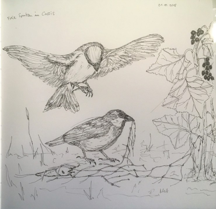 20181002_071915579_iOS