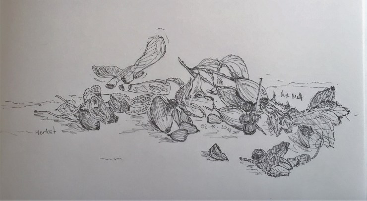 20181002_092404921_iOS