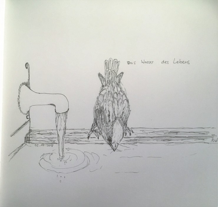 20181002_154326617_iOS