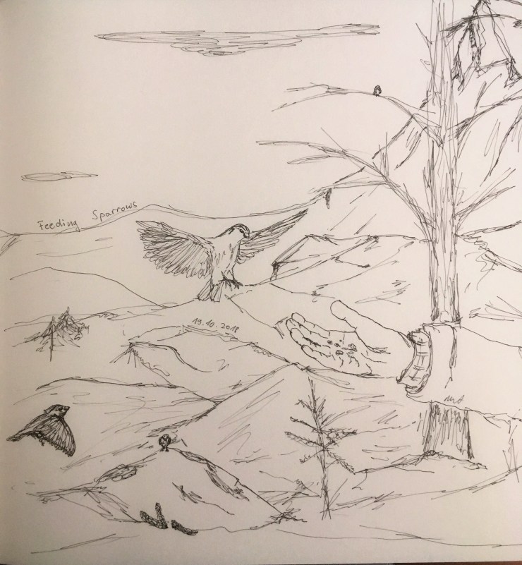 20181019_112632603_iOS