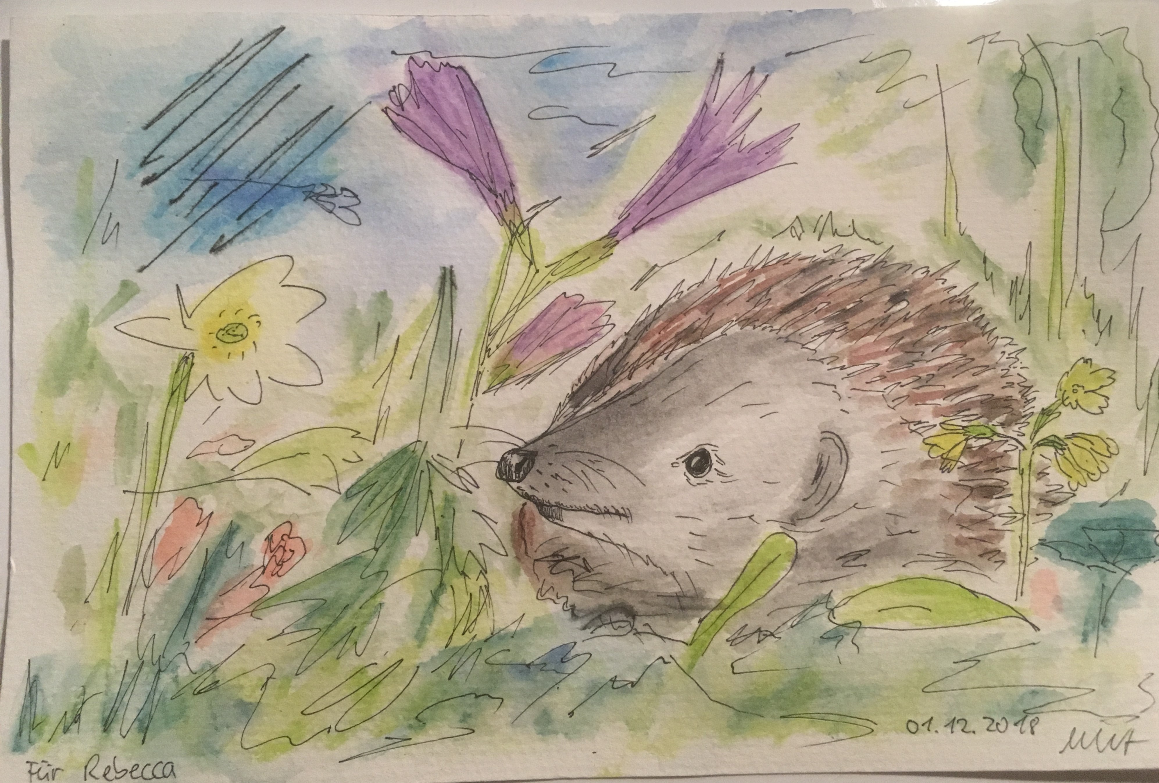 20181124_202810396_iOS