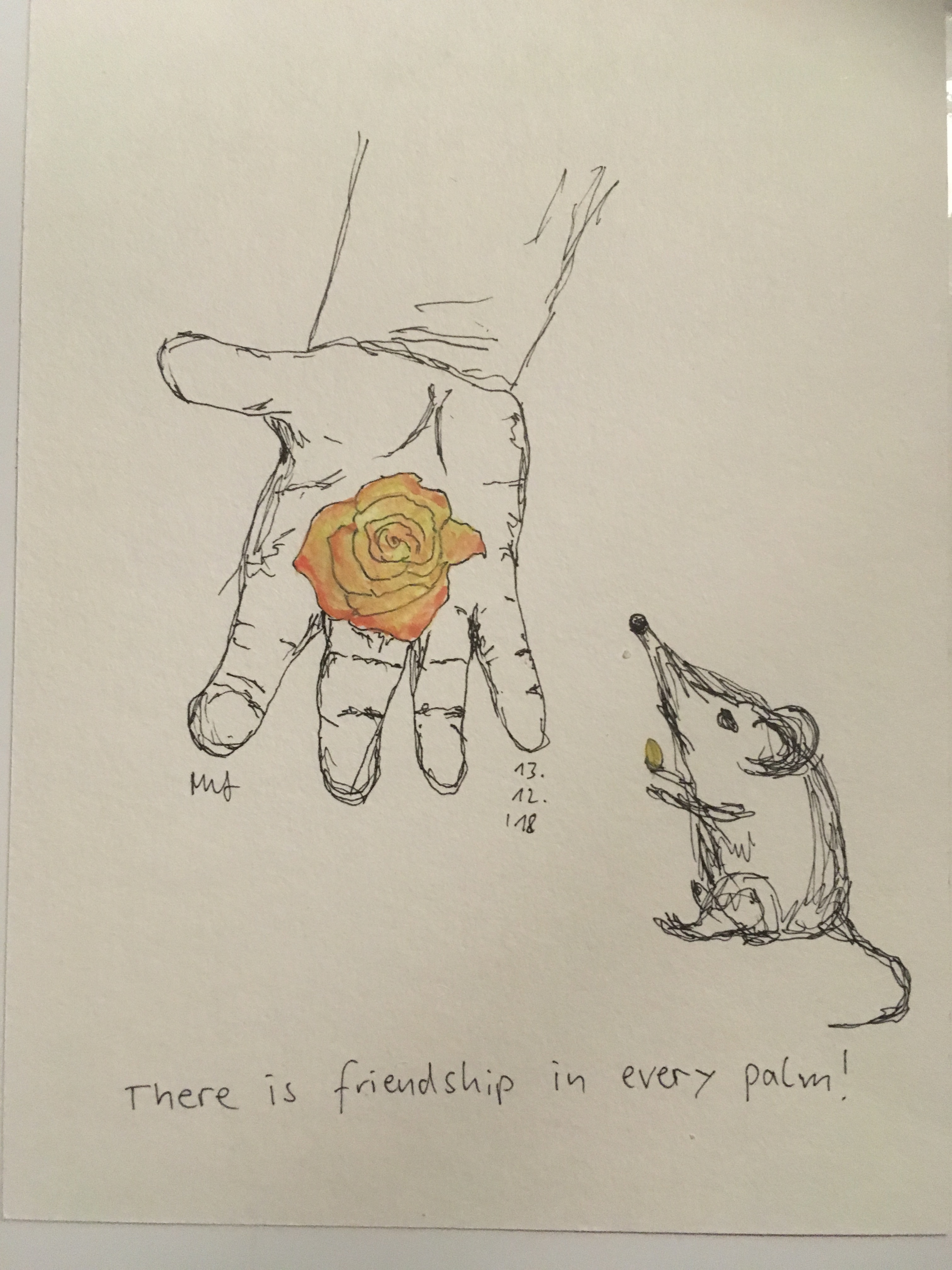 20181213_184344700_iOS